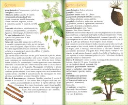 Oli Essenziali e Aromaterapia — Libro - 3