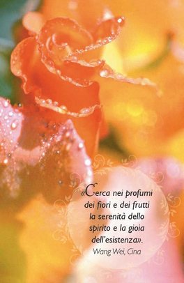 Oli Essenziali — Libro - 4