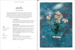 Oli Essenziali Sacri — Libro - 3