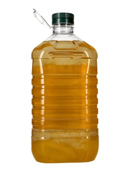 Olio di Sesamo Biologico - 2