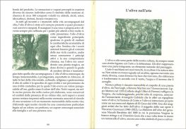 Olio - Dono Divino — Libro - 3