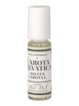 Olio Essenziale di Carota Selvatica - 2