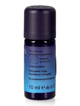 Olio Essenziale di Eucalipto Globulus Bio - 2