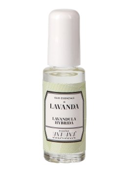 Olio Essenziale di Lavanda Hybrida - 2