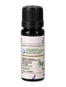 Olio Essenziale di Lavanda Ibrida (Lavandino) - 2
