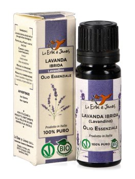 Olio Essenziale di Lavanda Ibrida (Lavandino) - 3