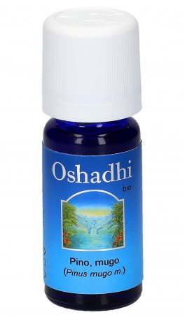 Olio Essenziale di Pino Mugo Bio - 1