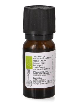 Olio Essenziale di Pino Mugo Bio - 3
