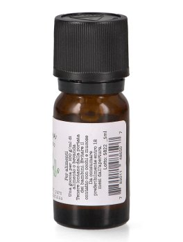 Olio Essenziale Estragone o Dragoncello Bio - 2