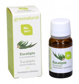 Olio Essenziale Eucalipto Bio