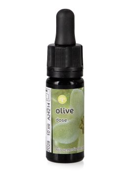 Olive - Dose - 1