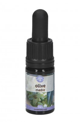 Olive - Soluzione Madre - 1
