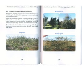 Olivicoltura e Produzione dell'Olio di Oliva — Libro - 3