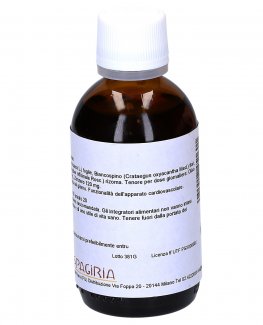 Olivo Comp - 2