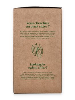 Olla in Terracotta Pepin - 5