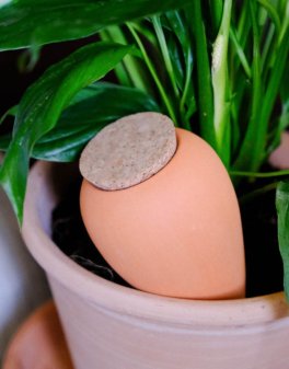 Olla in Terracotta Pepin - 3