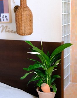 Olla in Terracotta Pepin - 4