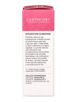 Olmo - Basegemmo - 5