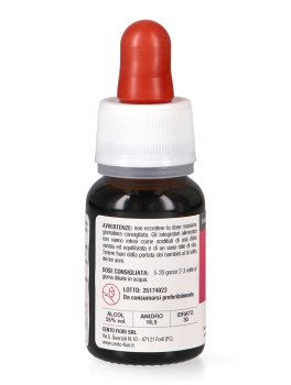 Olmo - Basegemmo - 4