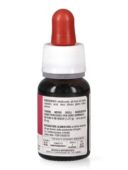 Olmo - Basegemmo - 3