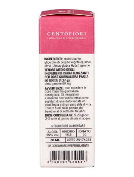 Olmo - Basegemmo - 6