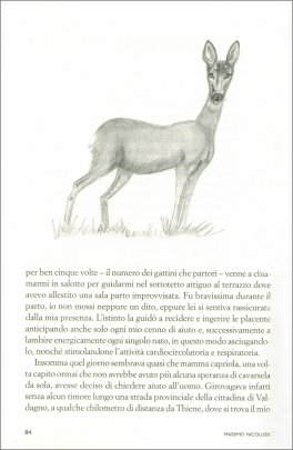 Oltre la Collina - La mia Vita con gli Animali — Libro - 3