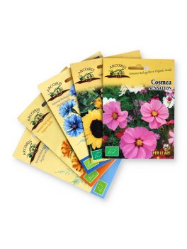 Omaggio - Bustina di Semi di Fiori - Tipi Vari - Arcoiris - 1