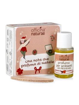 Omaggio - Profumo Ambiente Arancio e Cannella - Officina Naturae - 1
