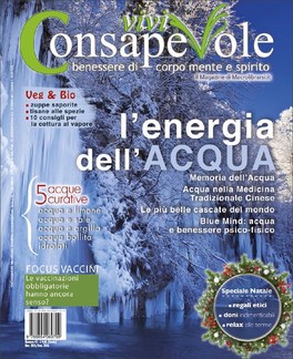 Vivi Consapevole - N° 43 — Rivista - 1