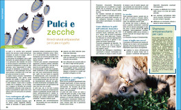 Vivi Consapevole - N° 45 — Rivista - 4