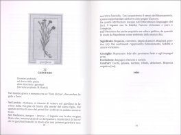 Oracoli Verdi — Libro - 3