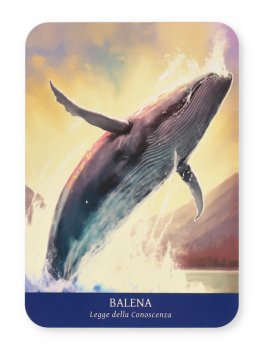 Oracolo degli Animali di Potere - 6