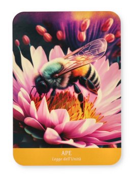 Oracolo degli Animali di Potere - 4