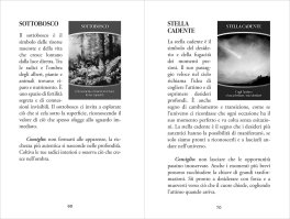 Oracolo degli Elementi Naturali - 10