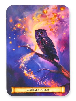 Oracolo dei Segnali dell'Universo - 2