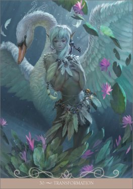Oracolo Night Fairies Oracle Cards - 5