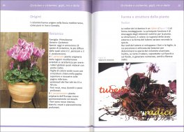 Orchidee e Ciclamini — Libro - 3