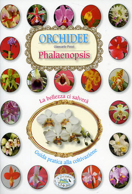Orchidee - Phalaenopsis  — Libro - 1