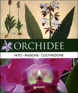 Orchidee — Libro - 1