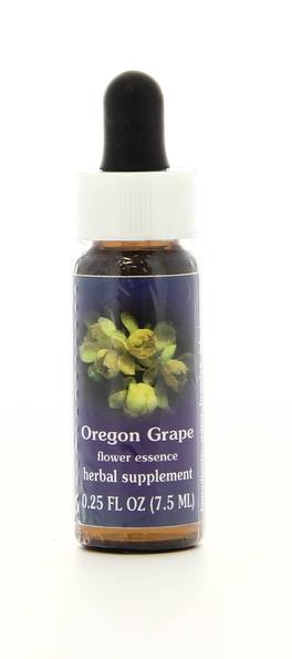 Oregon Grape - Fiori californiani - 1