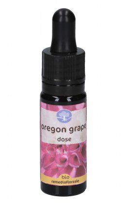 Oregon Grape - Fiori californiani - Dose - 1