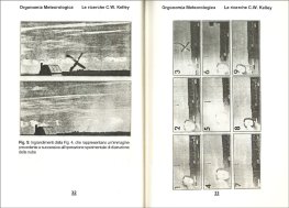 Orgonomia Metereologica — Libro - 3