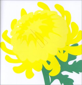 Origamini - Insetti — Libro - 3