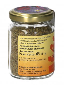 Origano - 3