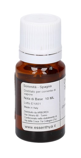 Origano di Spagna Bio - Olio Essenziale - 3