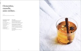 Origine non Animale — Libro - 4