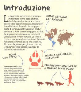 ORME Impronte di animali a grandezza naturale 