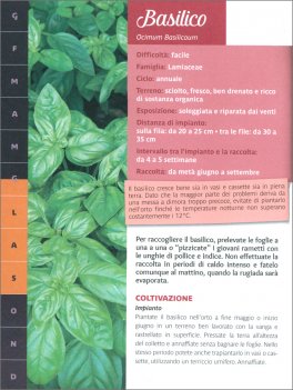 Ortaggi Tutto l'Anno — Libro - 3