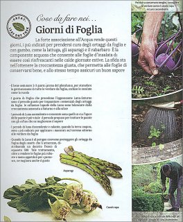 Orto e Frutteto Biodinamico — Libro - 4
