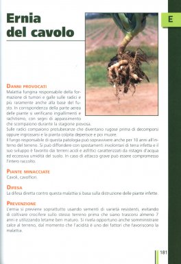Orto Facile per Tutti — Libro - 4